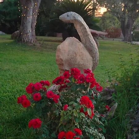 بيت ضيافة Marianna ألغيرو